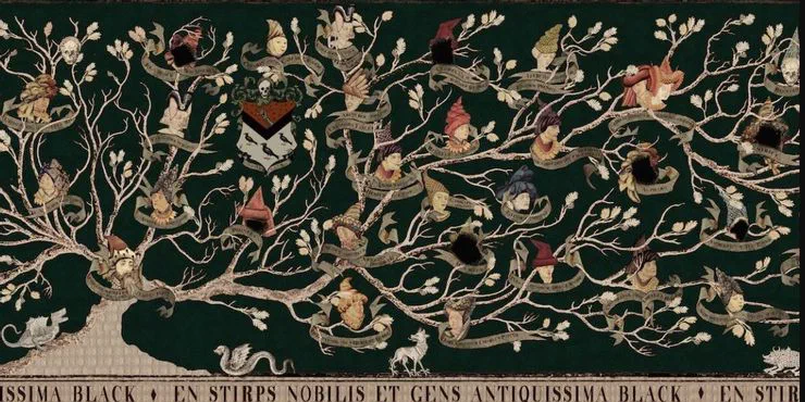 Sirius Black&rsquo;s Family Tree as seen in Harry Potter and the Order of the Phoenix.
